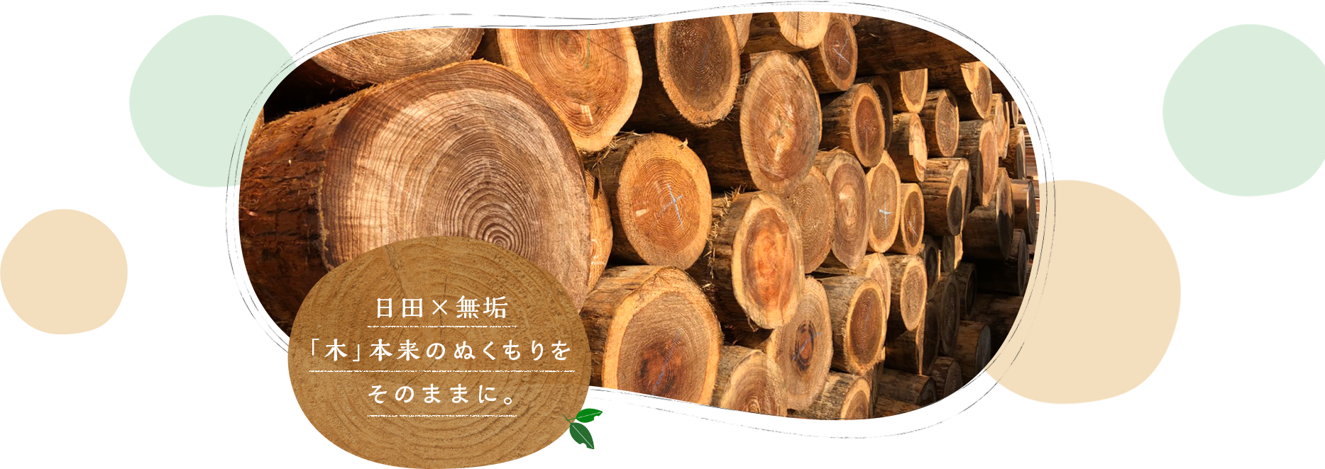 有限会社カネモリ小田製材所